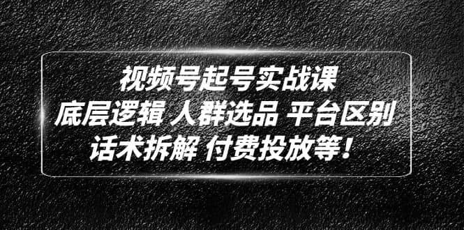 视频号起号实战课：底层逻辑 人群选品 平台区别 话术拆解 付费投放等-副业资讯大全