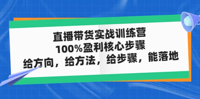 直播带货实战训练营：100%盈利核心步骤，给方向，给方法，给步骤，能落地-副业资讯大全