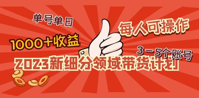 2023新细分领域带货计划：单号单日1000+收益不难，每人可操作3-5个账号-副业资讯大全