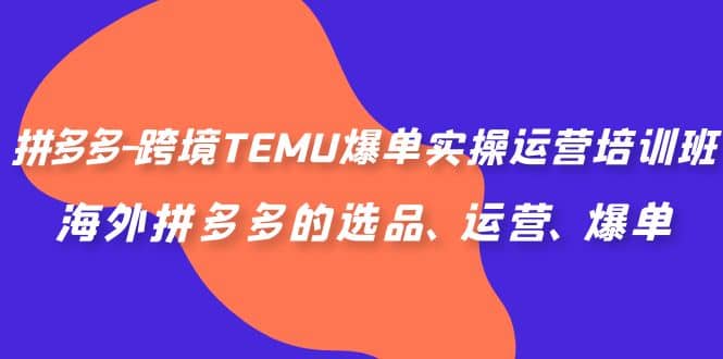 拼多多-跨境TEMU爆单实操运营培训班，海外拼多多的选品、运营、爆单-起创副业网