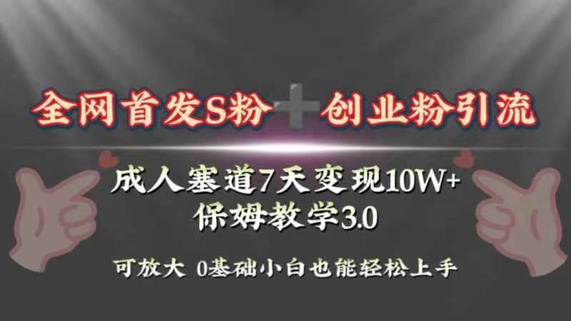 全网首发s粉加创业粉引流变现，成人用品赛道7天变现10w+保姆教学3.0-副业资讯大全