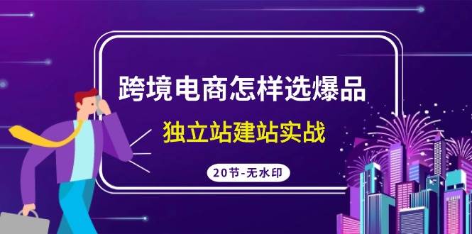 跨境电商怎样选爆品，独立站建站实战（20节高清无水印课）-起创副业网