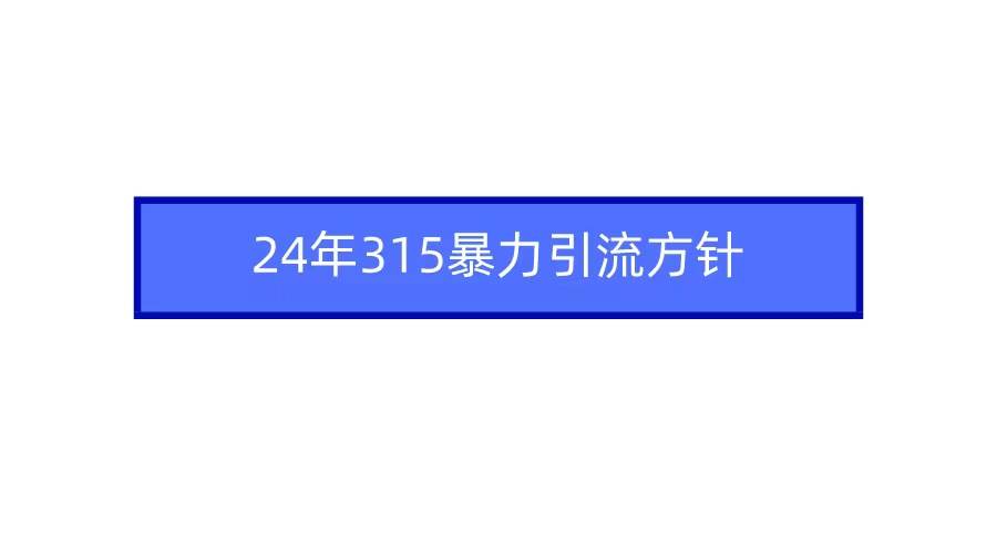 2024年315暴力引流方针-副业资讯大全