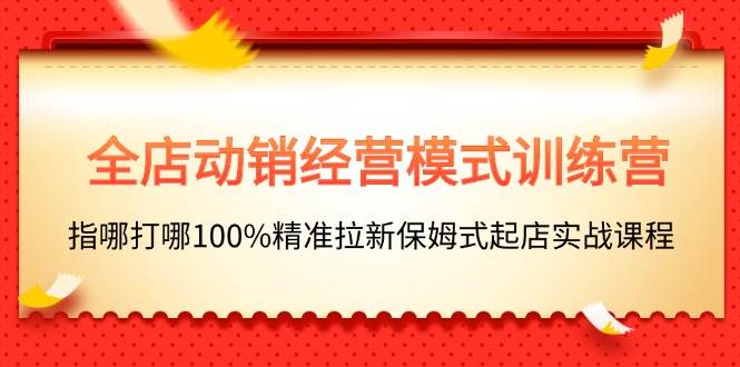 全店动销-经营模式训练营，指哪打哪100%精准拉新保姆式起店实战课程-起创副业网